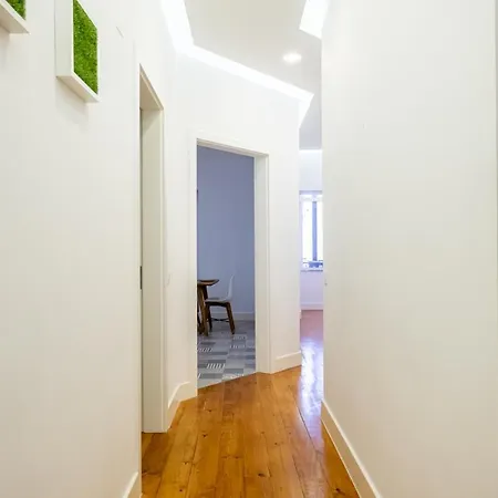 Casa de hóspedes Hola 4*