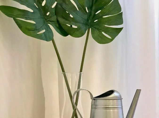 Hola Πανσιόν Lisboa